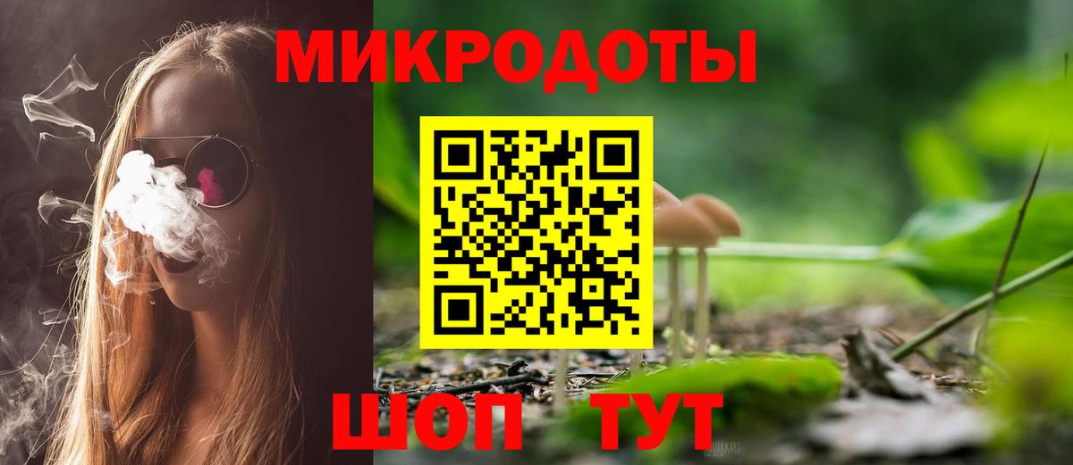 Псилоцибиновые грибы Psilocybe Ставрополь